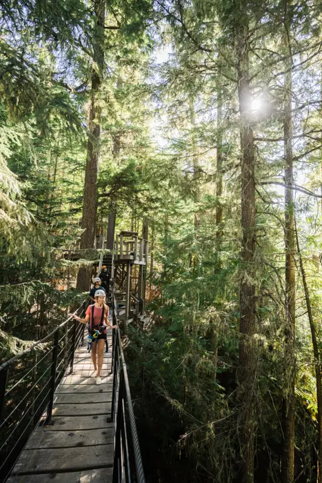 Whistler Ziptrek Bear Tour 2[1]