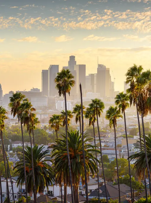 Los Angeles Skyline 1539707831