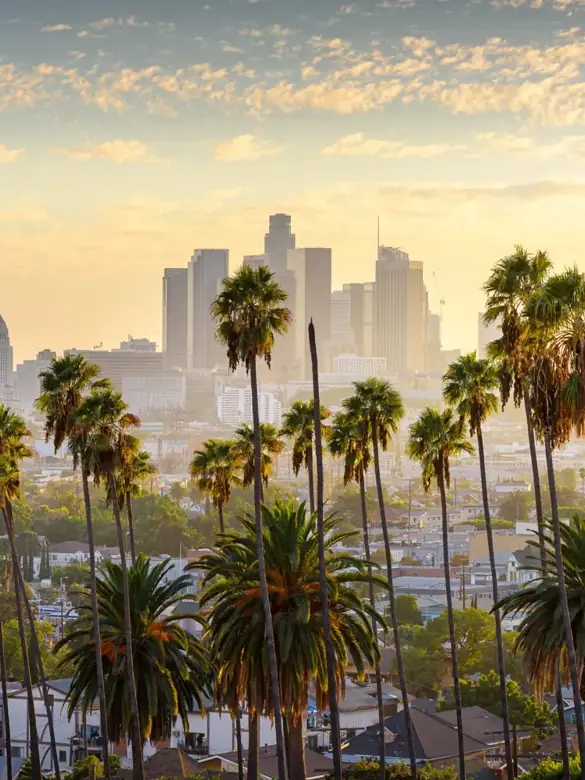 Los Angeles Skyline 1539707831