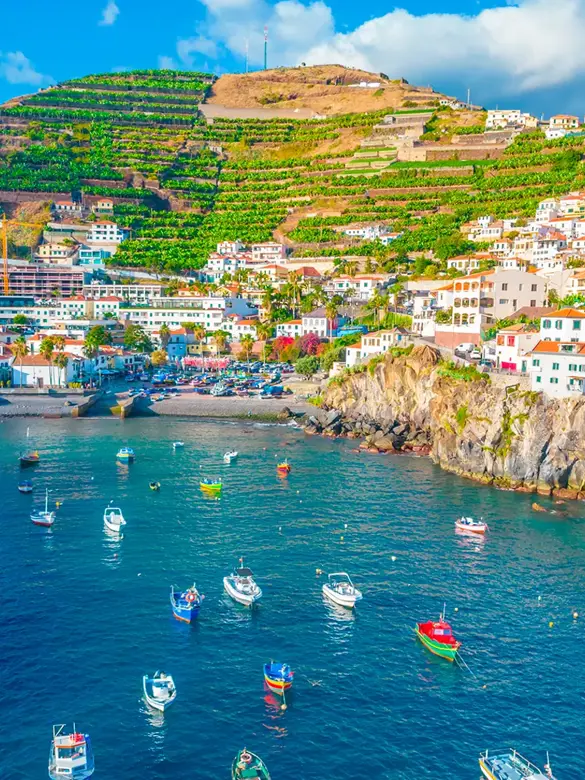 madeira-shutterstock-52.webp