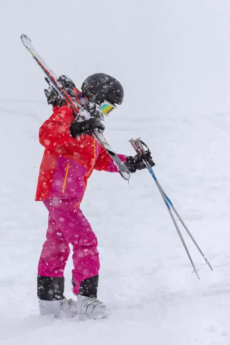 Powder og skiløb i Niseko på Hokkaido i Japan