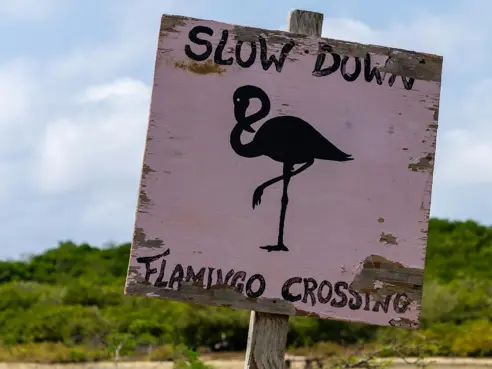 Bonaire (9)