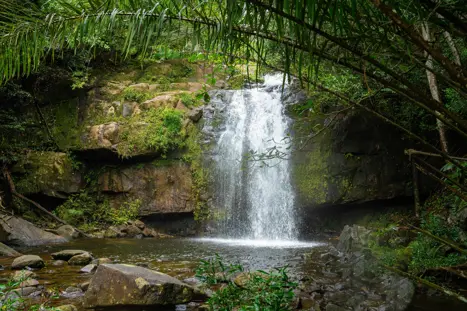 Waterfall At Cascade, Mahe