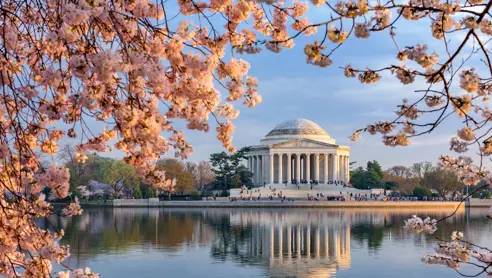 forar-i-washington.jpg