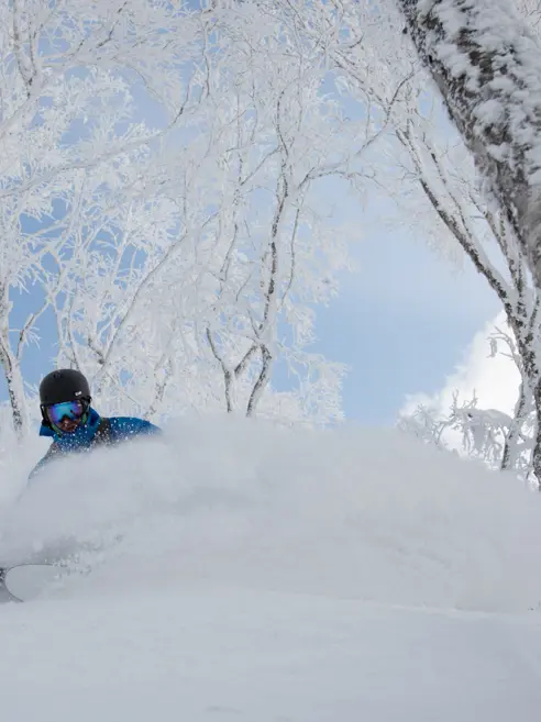 Rusutsu powder skiing i Japan