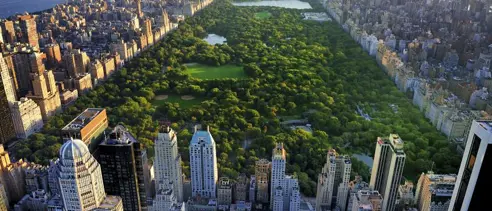 Rejspelan East Coast New York Central Park In Manhatten (1)