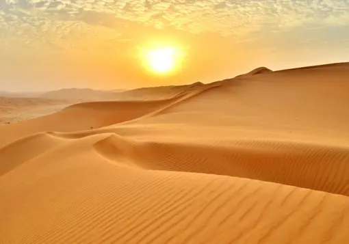 Arabian Desert