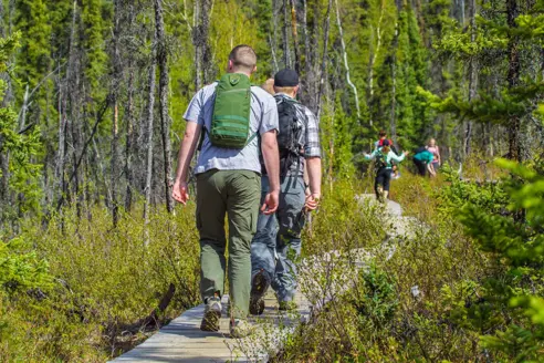 Hiking ved Fairbanks i Alaska, USA